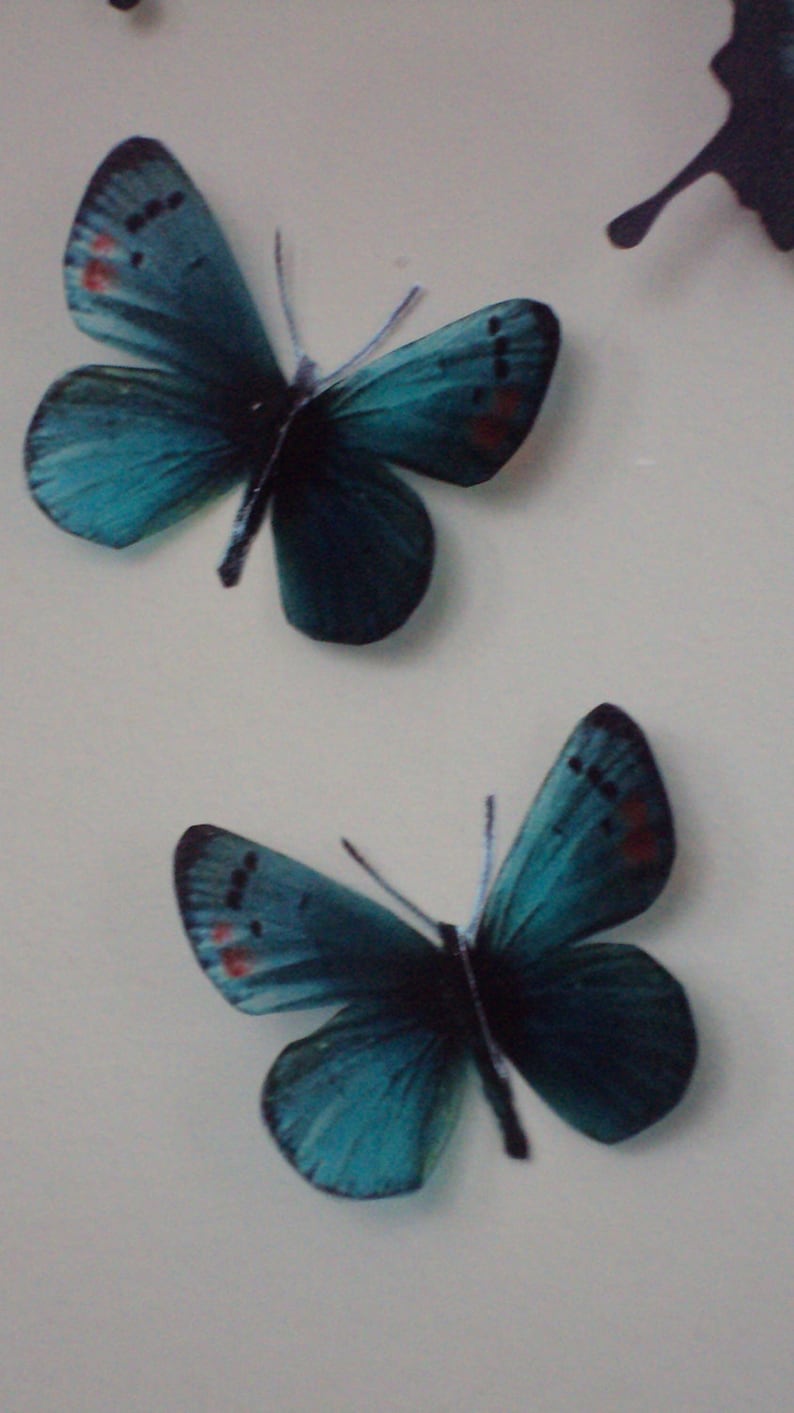 4 Luxury Amazing Teal Blue Butterflies 3D Butterfly Wall Art Any Colour Tropical Butterfly Framing Photography Props Wedding Decorations image 5