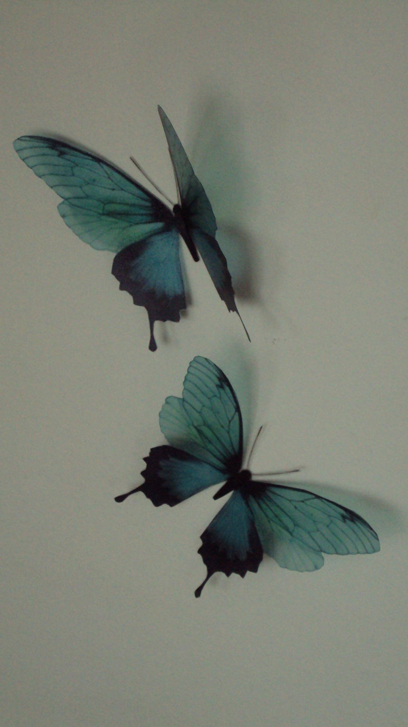 4 Luxury Amazing Teal Blue Butterflies 3D Butterfly Wall Art Any Colour Tropical Butterfly Framing Photography Props Wedding Decorations image 4