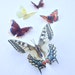 see more listings in the Butterflies section