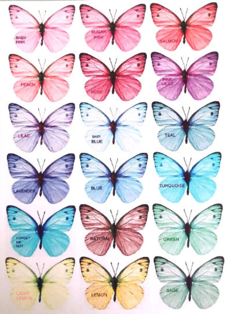 May include: A set of 16 butterfly stickers with different colors and names, including baby pink, sugar pink, salmon, peach, rose, lilac, lavender, baby blue, teal, turquoise, blue, forget me not, natural, green, light lemon, lemon, and sage.