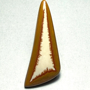 Owyhee Picture jasper