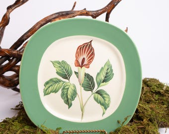 Vintage botanisch bord jaren 1950 Taylor Smith Taylor | Groen bord met bloemen | Huisdecor uit het midden van de eeuw | Anthuriumillustratie