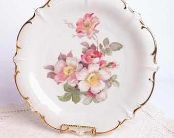 Vintage Schumann Arzberg Wildrose Plate | German Porcelain Floral Plate | Gold Trim Wall Decor