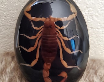 Handmade Scorpion Belt Buckle Cowboy Black Buckle Made in Mexico