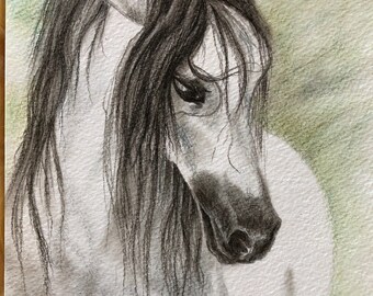 Horse Drawing Original Art