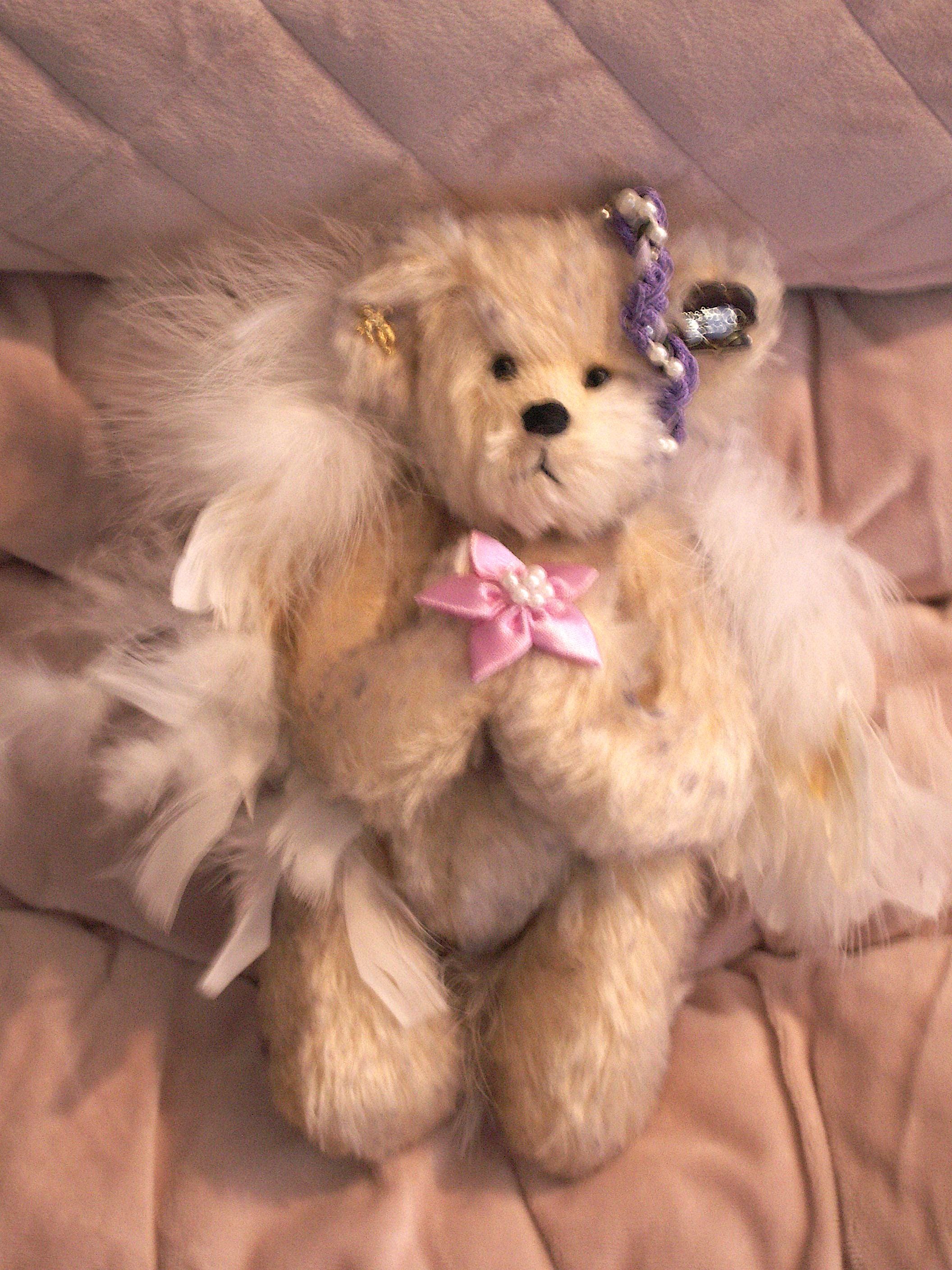 テディベア　Annette Bears　ぬいぐるみ テディベア Annette Bears ぬいぐるみ