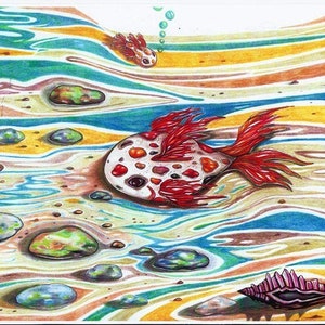 May include: A white and red fish with black spots swims in a stream with colorful, wavy lines. The fish has red fins and a white body with black spots. There are several rocks in the stream and a seashell on the bottom.