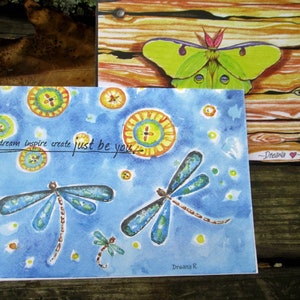 Dragonfly butterfly Note Cards, Luna Moth Card, Dragonfly Greeting Inspirational Card, Nature Cards Dragonfly Butterflies
