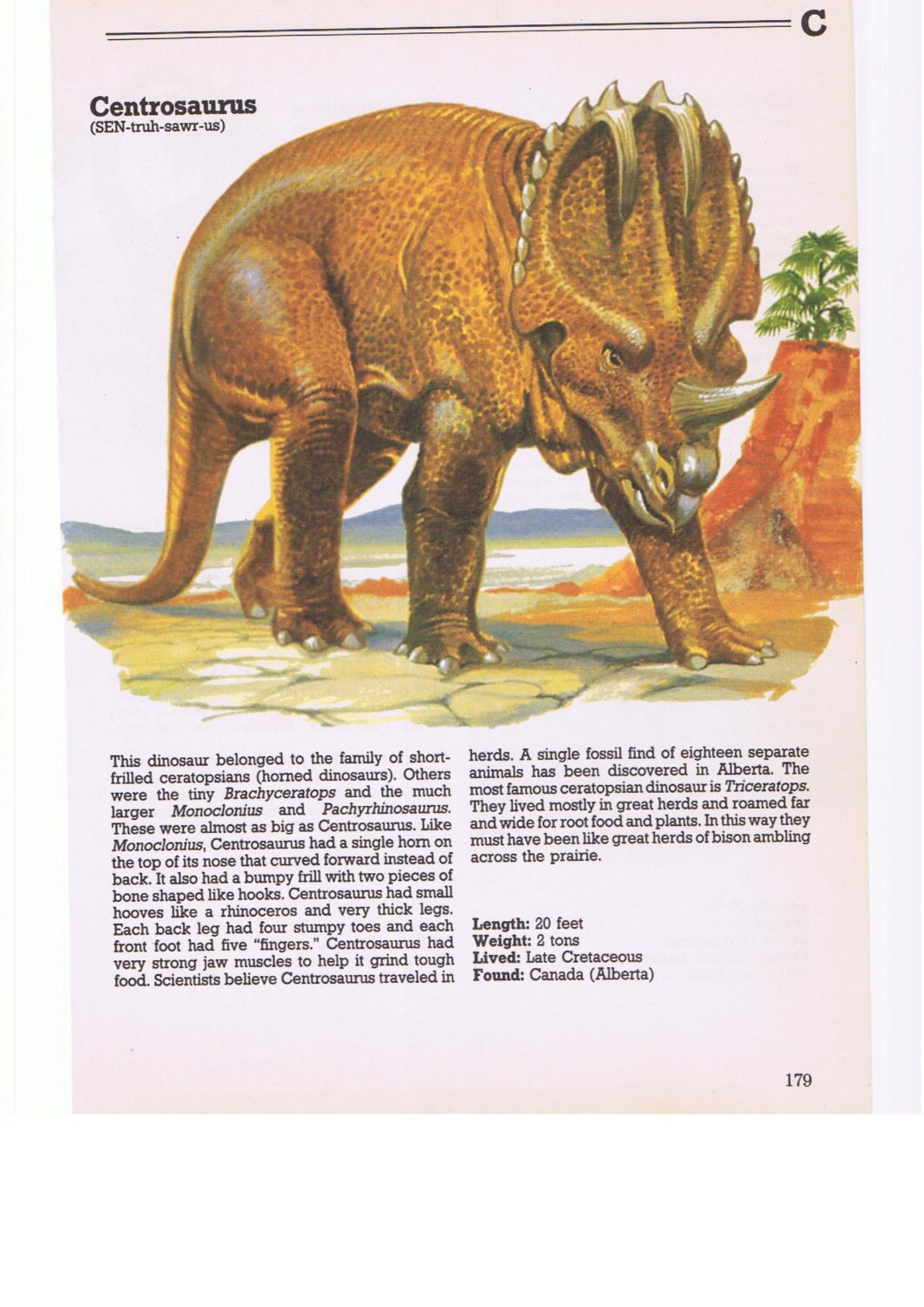 5x DINOSAURS 1980s Childrens Book Dictionary Pages with | Etsy