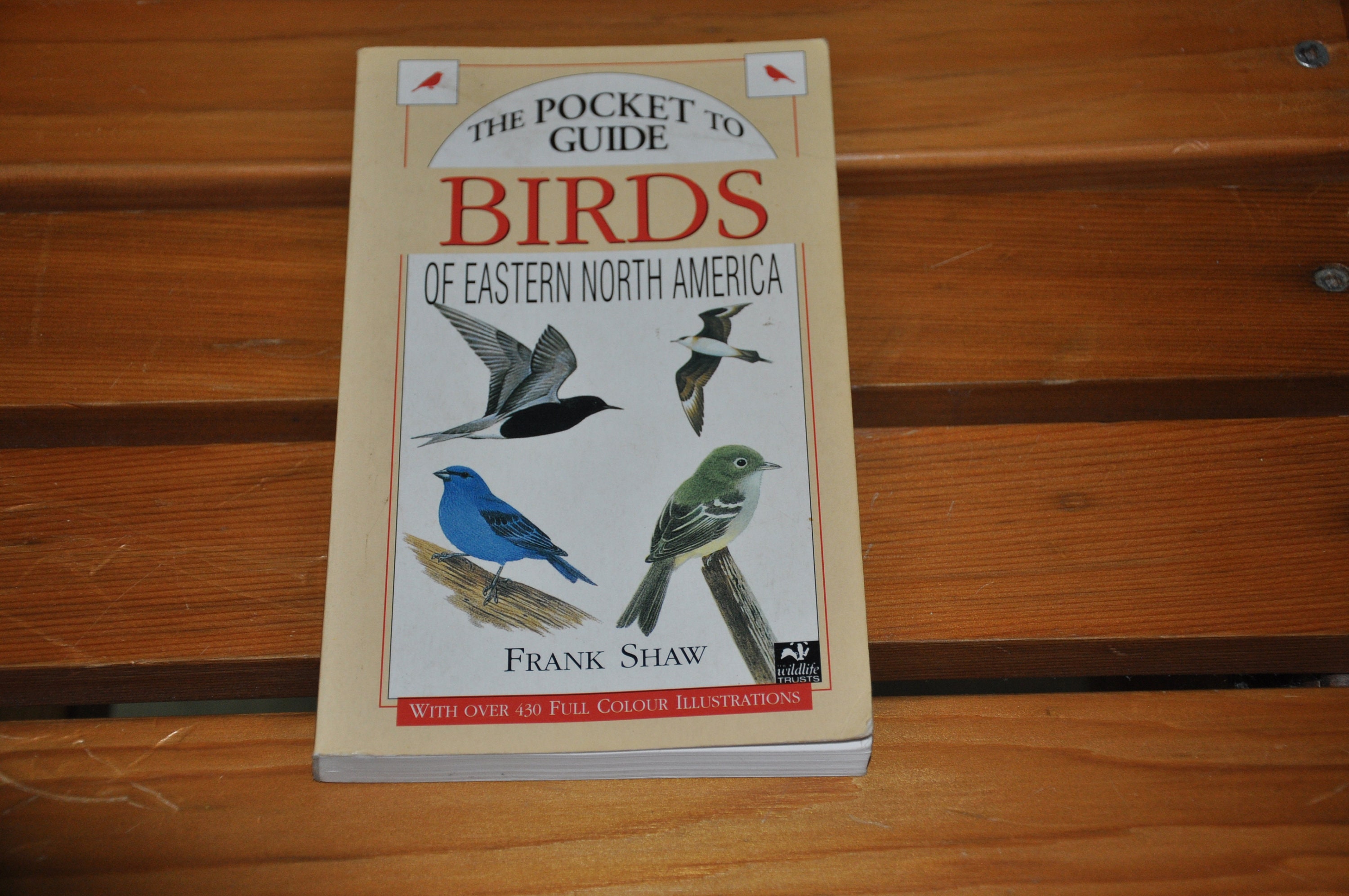 Pocket Bird Guide - Etsy