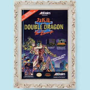 10x DOUBLE DRAGON Nintendo Unterhaltung System NES Vintage Video Spiel Modul Werbung