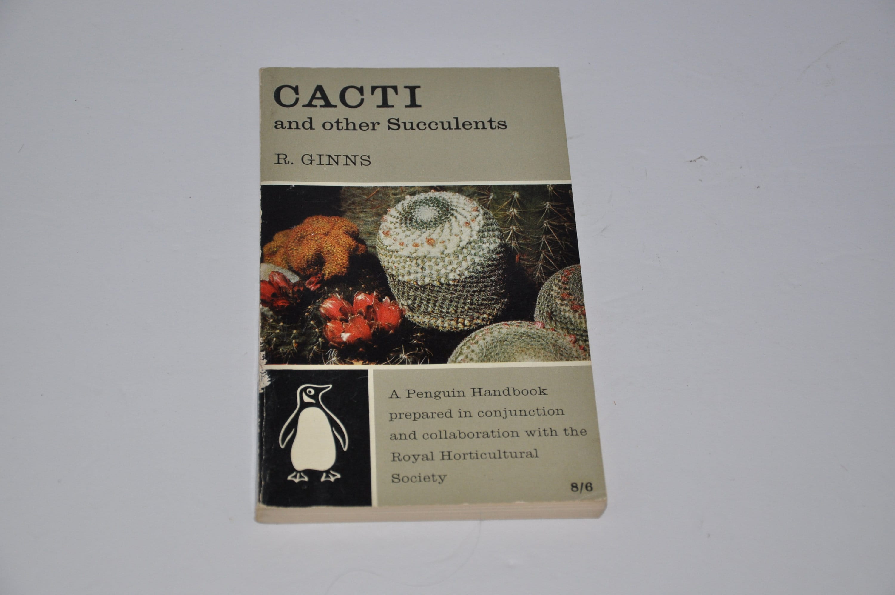 Cacti and Other Succulents Softcover Guide Book - Etsy