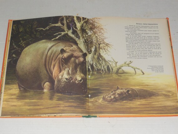 Rare Vintage French Bebes Animaux D Afrique Hardcover Etsy