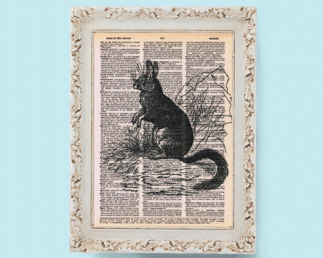RODENT - Printed on Old Dictionary Page - Etsy