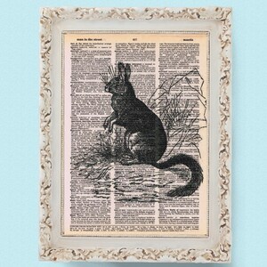 RODENT - Printed on Old Dictionary Page