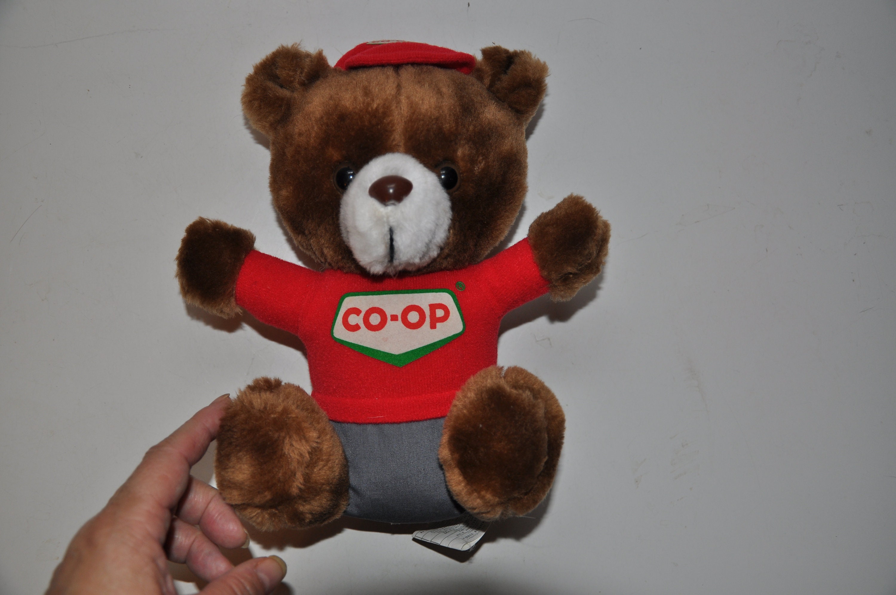 co op teddy bear