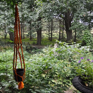 May include: A macrame plant hanger with a black pot hanging from it. The hanger is made of orange and brown yarn. The hanger is hanging from a tree branch in a wooded area.
