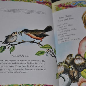 3 x Eloise Wilkin's Illustrated Books -Vintage Hardcover Children's Little Golden Books image 7