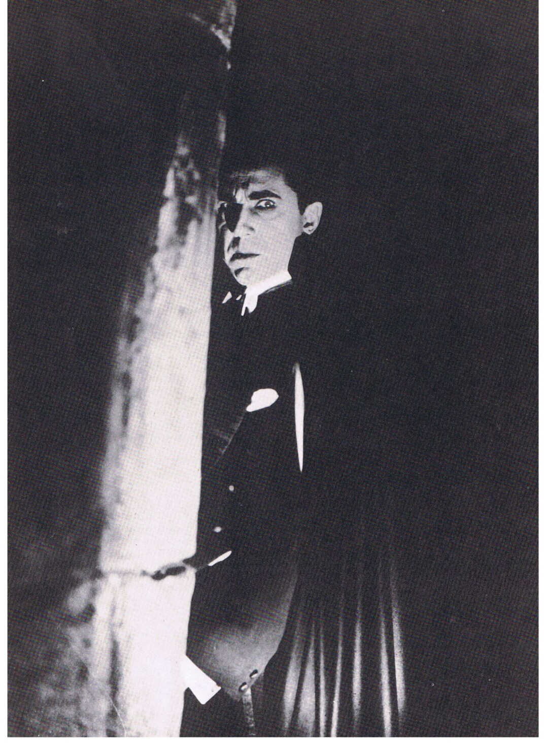 DRACULA Bela Lugosi Vintage 1970s Vampire Movie Print - Etsy