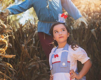 Mini Top Hat , Wonderful Wizard of Oz Hat , Dorothy Costume ,  Dorothy Hat , Wizard of Oz Mini Top Hat , Mad Hatter Hat , Tea Party Hat