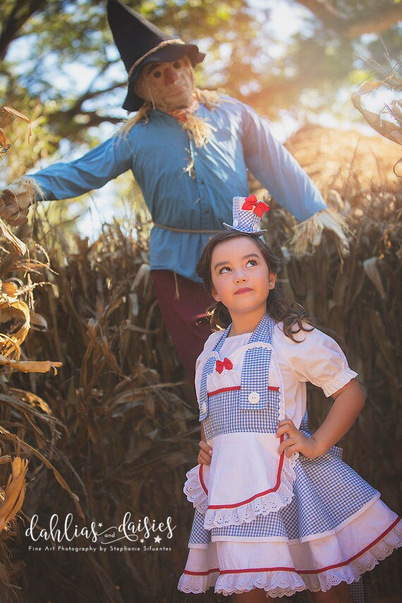 Mini Top Hat Prachtige Tovenaar Van Oz Hoed Dorothy Kostuum Etsy