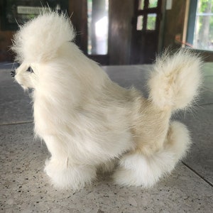 Poodle Fur Coat - Etsy
