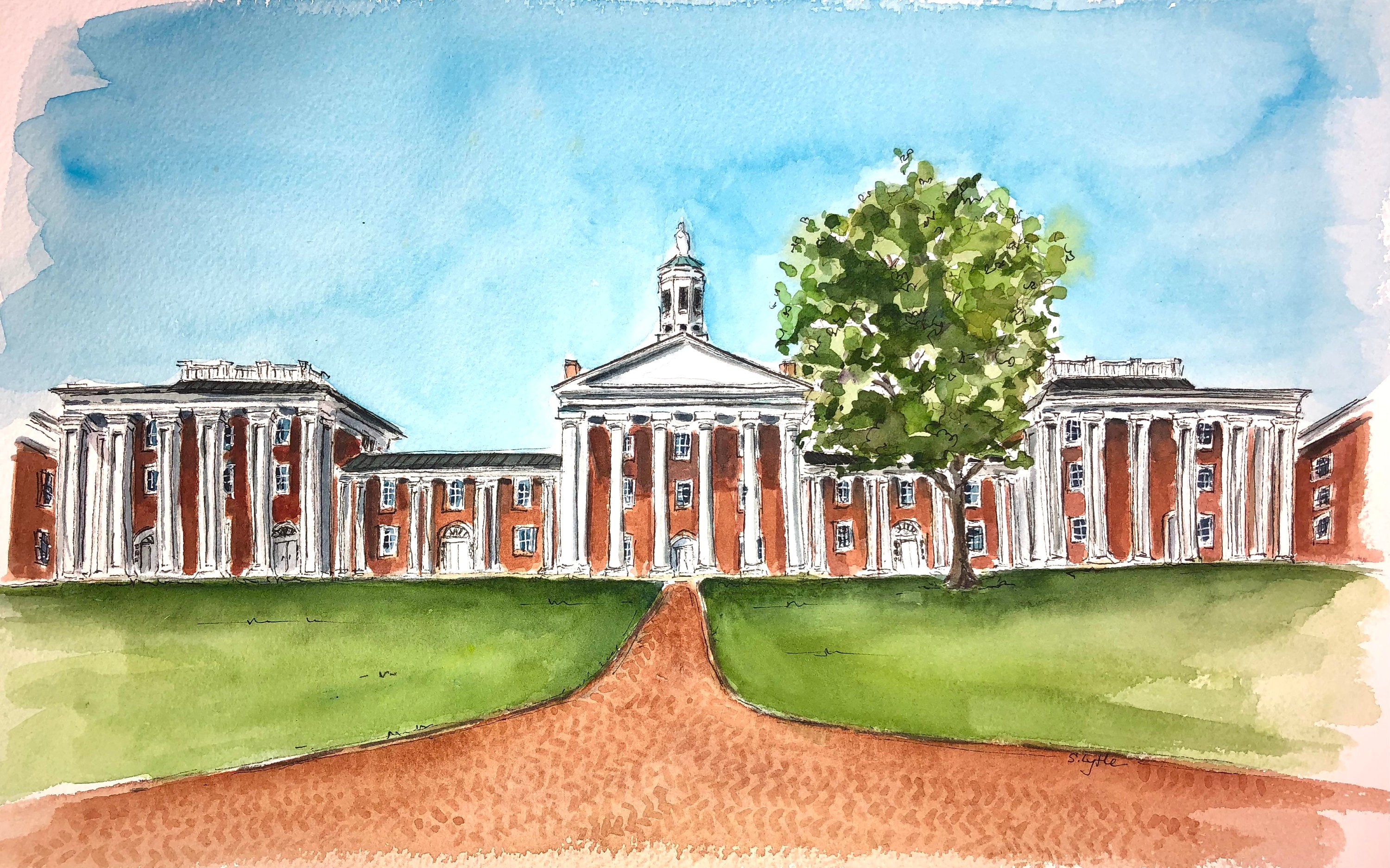 Washington and Lee University Colonnade Print Etsy