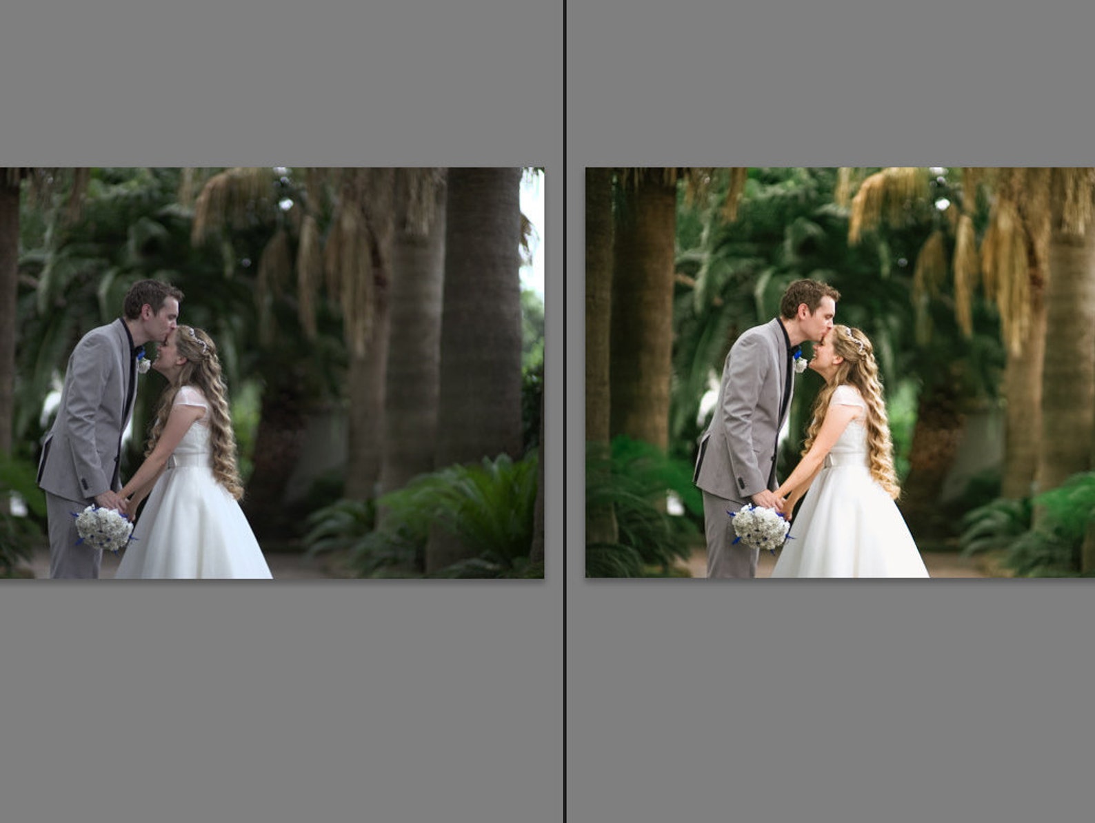 сони пресет