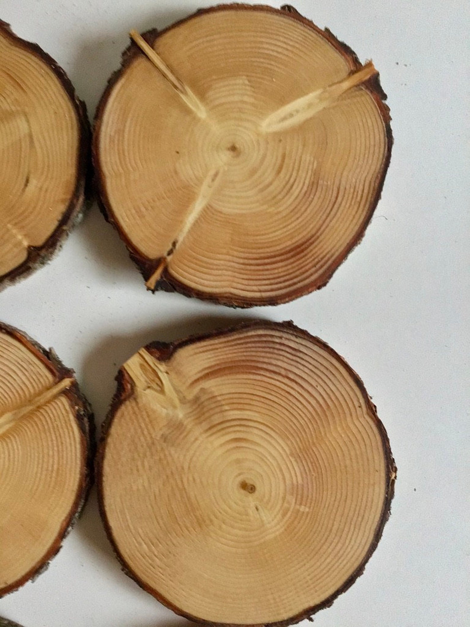 Pine Wood Slices Wood Cookies Log Slices Finished Wood Etsy