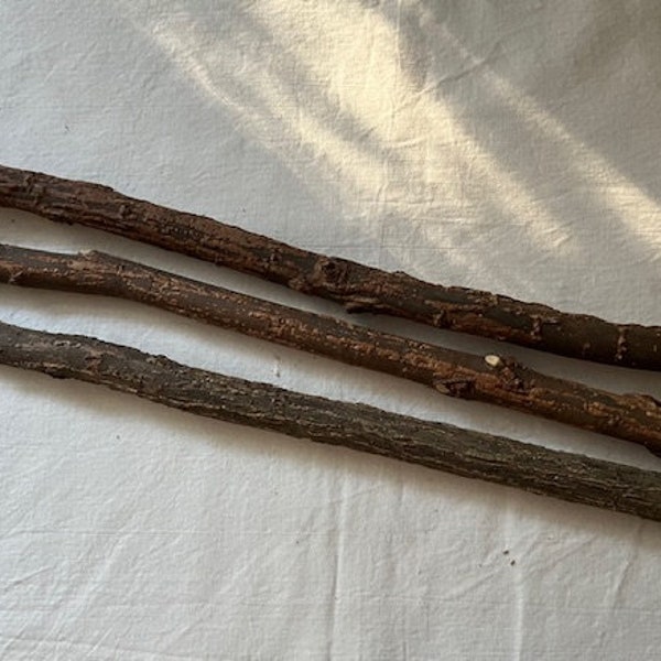 Willow branches, lot of 3 Willow branches, Willow branch fiber art macrame rod, Willow craft stick, craft branch, blank willow wands