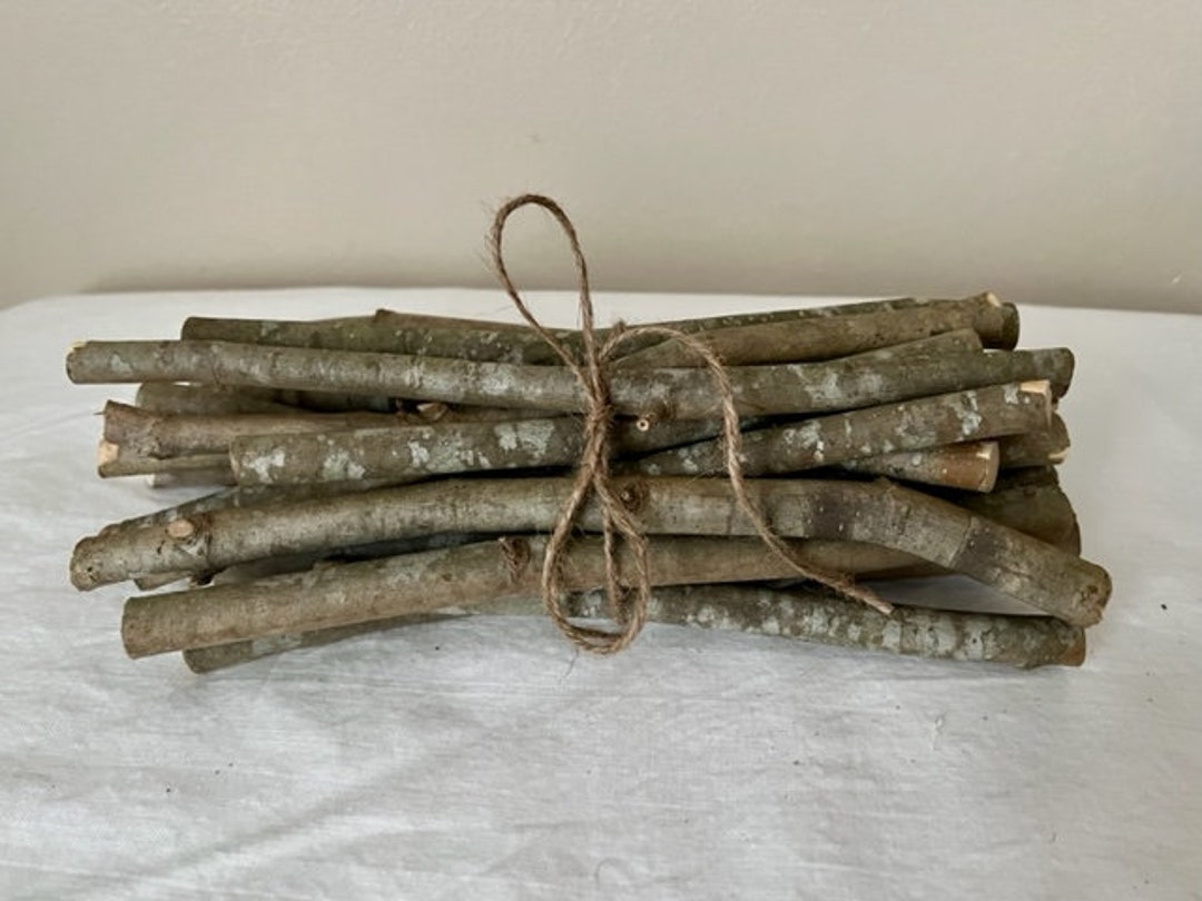 20 Sycamore Branches, Craft Branches, Craft Branch Bundle, Twig Bundle