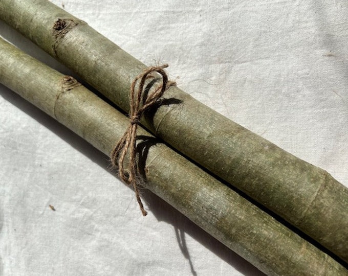 Sycamore Branches, Craft Branches, Natural Twig Branches, Natural Wood