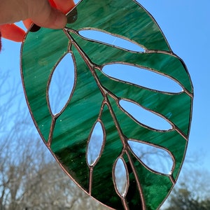 Monstera Adansonii Swiss Cheese Stained Glass Sun Catcher