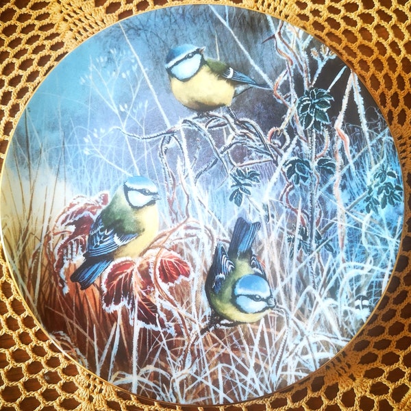 Beautiful, Vintage, Coalport Collectors Cabinet Plate. Winter Bluetit designed by David Feather. Frosty Mornings Collection 1993.