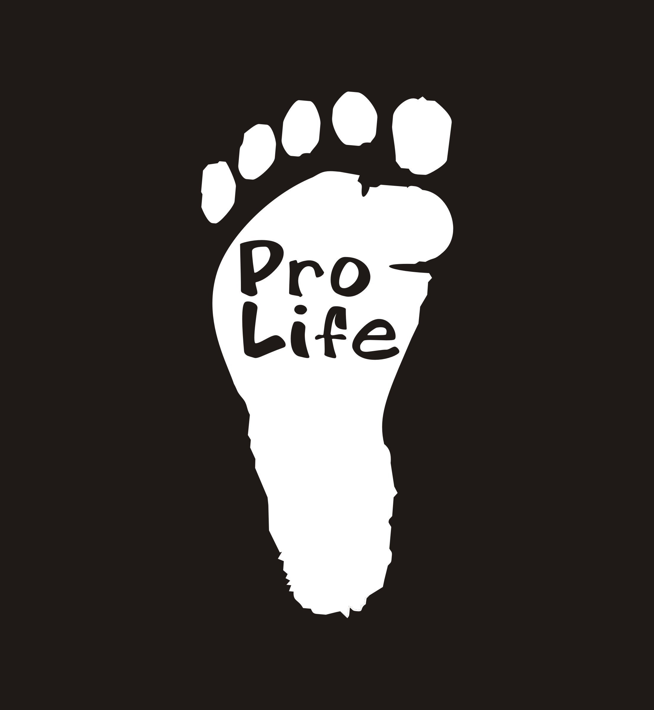 Pro Life vinyl decal, pro life sticker, pro life vinyl sticker, pro