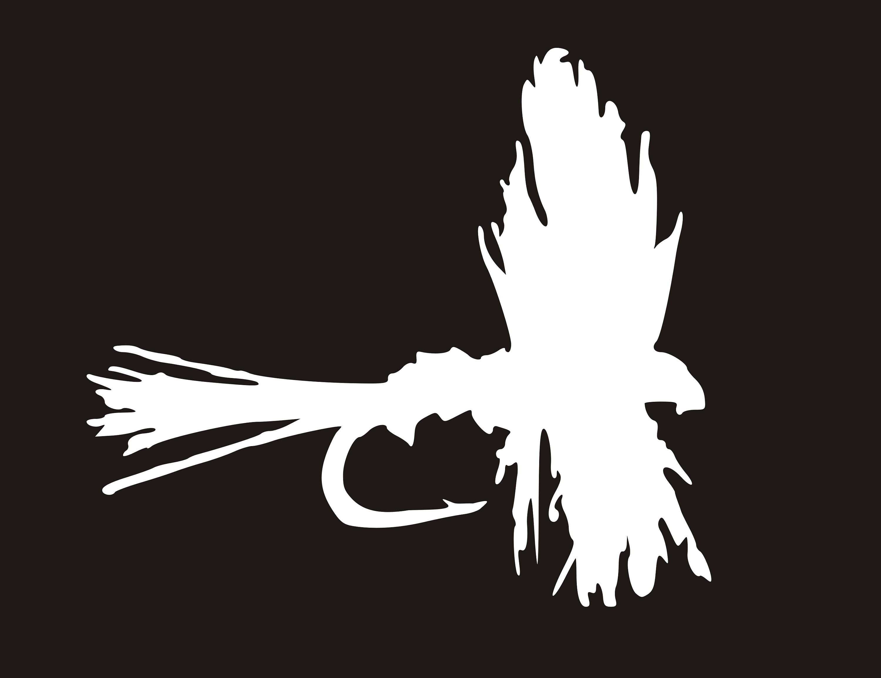 Fly decal for anglers, Fly fishermen decal, Fly sticker, Trout fish