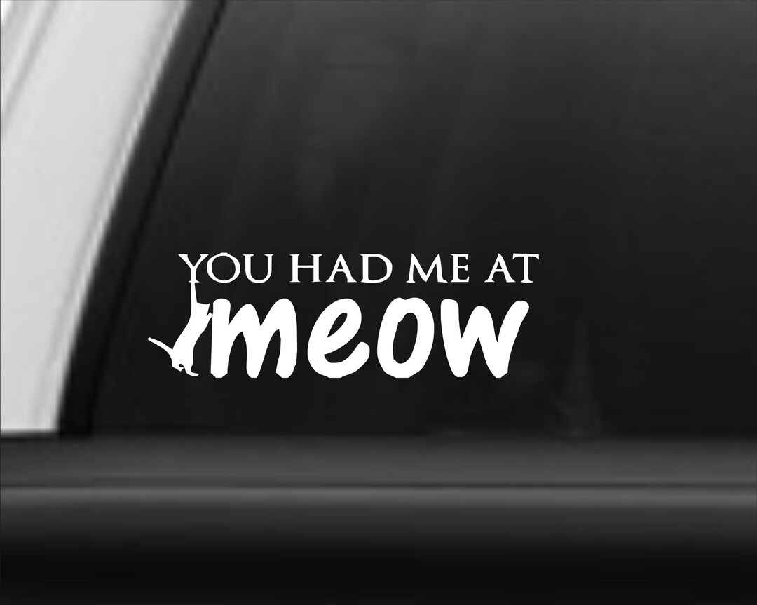 Vinyl Decal You Had Me at Meow, Cat Lover Decal, Cat Lover Sticker, You ...