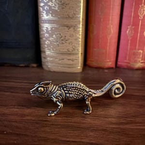 May include: A detailed bronze chameleon figurine with a curled tail, set on a dark wooden surface. The reptile has textured skin and is positioned in front of a row of antique books with gold and red spines.