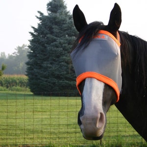Könnte beinhalten: Ein Pferd mit einer grauen Fliegenmaske mit orangefarbenem Rand. Die Maske bedeckt die Augen und die Nase des Pferdes, wobei das Wort "ENA" auf der Stirn zu sehen ist. Das Pferd hat eine weiße Blesse und steht auf einer Wiese.