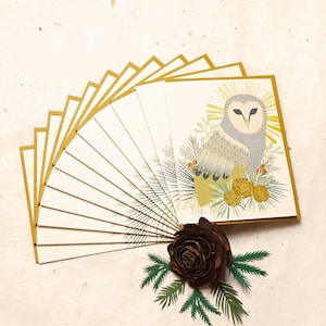 Owl Holiday Boxed Set of 10 Recycled Cards