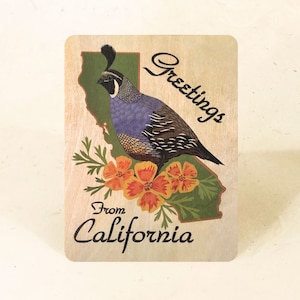 Cartolina in legno sostenibile dello stato della California