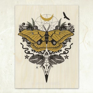 Giant Silk Moth Sustainable Wood Print