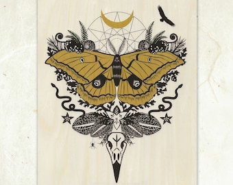 Giant Silk Moth Sustainable Wood Print