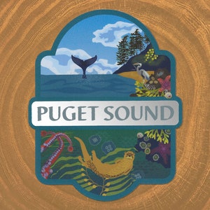 Puget Sound Matte Mirror PVC-Free Sticker
