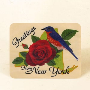 Cartão Postal Madeira Sustentável do Estado de Nova York