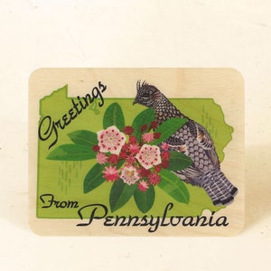 Cartolina di legno sostenibile dello stato della Pennsylvania