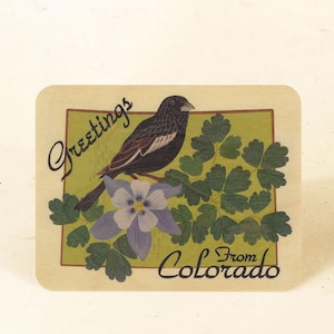 Cartolina di legno sostenibile dello stato del Colorado
