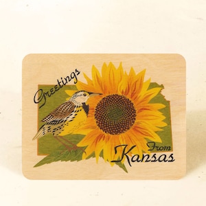 Cartão Postal Madeira Sustentável do Estado do Kansas
