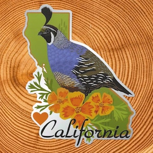 California State Matte Spiegel PVC-vrije sticker