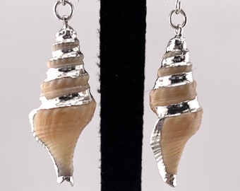 Get the Point! Turrid Shell Earrings, Gold Enhanced Turrid Shell Earrings, Silver Enhanced Turrid Shell Earrings